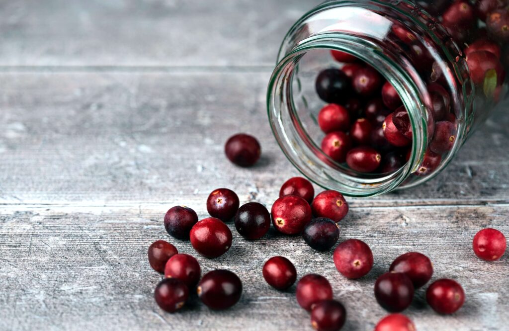 Can You Give Your Dog Cranberries For A UTI?